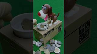 Piggy bank money collect  dog puppy coin eating review shots ep180 funny shortsfeed tiktok [upl. by Adneral]