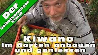 Kiwano im Garten anbauen und geniessen [upl. by Bertie]