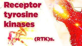 Receptor tyrosine kinases  RTKs  Cell Signaling [upl. by Odlanra328]