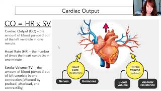 Cardiac Concepts [upl. by Eiro]