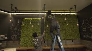 QG Floral Time Lapse  Preserved Moss Wall Installation [upl. by Damarra]