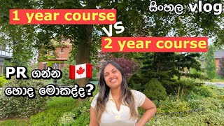 1 year course or 2 year course  Canada 🇨🇦  International Student  Path to PR  Sinhala Vlog [upl. by Coleman304]