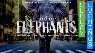 PHED Church Sunday PM Introducing Elephants pt2 [upl. by Aneala]