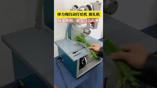 Part 67 Elastic rope automatic knotting machine easy to operate and use With elastic [upl. by Durtschi]