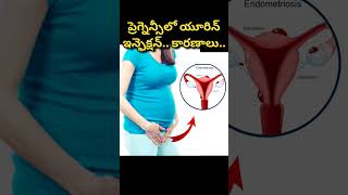 గర్భిణుల్లో యూరిన్ ఇన్ఫెక్షన్ రావడానికి కారణాలు  Pregnancy Urine Infection pregnancycare [upl. by Maxie]