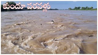 Flood flow in Kundu river  MydukurNews  ysrkadapa [upl. by Aniahs475]