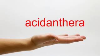 How to Pronounce acidanthera  American English [upl. by Aeresed756]