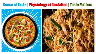 Anatomy amp Physiology 100 Sense of Taste  Sensory Organs  Physiology of Gustation [upl. by Kallick]