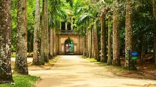 Jardim Botânico Rio de Janeiro Brasil  Botanical Garden  Lugares para visitar no Rio de Janeiro [upl. by Xantha]