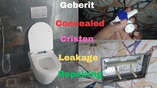 How To Repair Geberit Concealed Cristen  Geberit Concealed Flush Leakage Fix Flush tank Leakage [upl. by Quinby919]