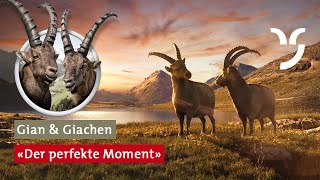 Steinbock Spot quotDer perfekte Momentquot mit Gian und Giachen mit deutschen Untertiteln [upl. by Lorraine958]