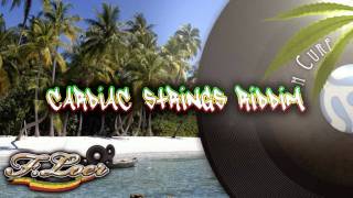 Cardiac Strings Riddim  Reggae  2011  Mix By Floer [upl. by Tlevesor]