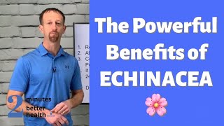 The Powerful Benefits of Echinacea  2 Minutes to Better Health [upl. by Liss545]