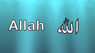 Allah 99 Names Nasheed Duff Tauseef Akhtar [upl. by Giacomo314]