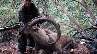 The best bezoar ibex hunting with Steve James Sadowski amp Recep Ecer Yaban Keçisi Avı [upl. by Volny397]