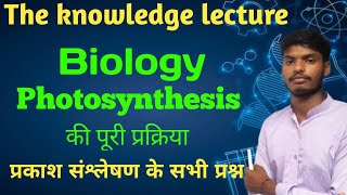 Photosynthesis related question  The knowledge lecture [upl. by Ahsemo]