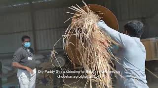 Bio gas feeding material grinder Dry paddy straw [upl. by Eenaffit]