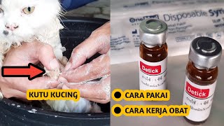 Cara Cepat Dan Ampuh Mengobati Kutu Kucing Sesuai Dosis Detick [upl. by Dagmar422]