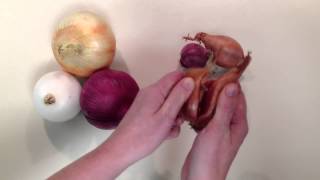 Onions Vs Shallots Whats the Difference [upl. by Spragens]