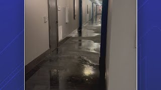 Residents say apartment management is forcing them out after massive water leak [upl. by Delphine]