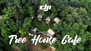 Cafe Vlog Thailand Treehouse Cafe  Dji mini amp Fujifilm  Cinematic Video [upl. by So]