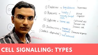 Types of Cell Signaling  Endocrine Paracrine Autocrine and Juxtacrine [upl. by Gnaig]