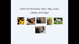 Listen to the Ducks Hens and Lambs Pigs Cows Dogs Cats and Horses [upl. by Randi]