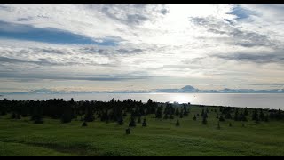 Kasilof River Alaska Salmon Reds Sockeye Dipnet Fishing Summer Camping Trip 2023 [upl. by Airuam948]