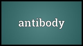 Antibody Meaning [upl. by Llemaj]