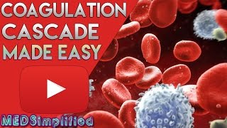 Coagulation Cascade SIMPLEST EXPLANATION  The Extrinsic and Intrinsic Pathway of HEMOSTASIS [upl. by Stoll]