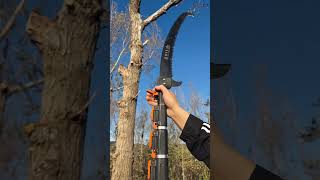 You can stand down from this argestable saw and cut down a tall tree shortvideo [upl. by Ermey]