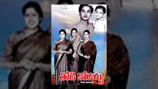 Chinna Kodalu Telugu Full Length Movie  Suresh Vani Vishwanath  Shalimarcinema [upl. by Berti]