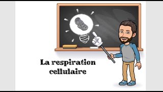 LA RESPIRATION CELLULAIRE  7 TSPÉ SVT [upl. by Mei]