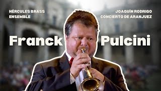 Franck Pulcini  Concierto de Aranjuez J Rodrigo  Hércules Brass Ensemble [upl. by Norha]