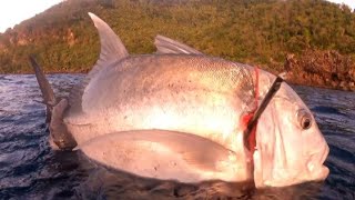 SPEARFISHING PHILIPPINES  GREAT TREVALLY  ASSORTED QUALITY FISH [upl. by Gwenore]