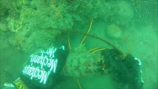 Ventura Area Reef Scuba for Lobster [upl. by Aihseyk]