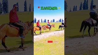 Horse Ride gulmarg shortsfeed shorts y2kvlog gulmarg [upl. by Irafat]