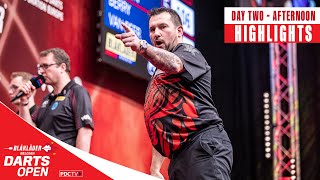 BIG FISH GALORE 🐠  Day Two Afternoon Highlights  2024 Belgian Darts Open [upl. by Anelegna]