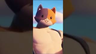 Meowscles edit fortnite [upl. by Anined]