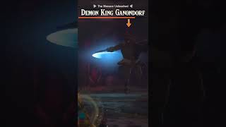 Ganondorf can dodge sword beams totk thelegendofzeldatearsofthekingdom [upl. by Sharia]