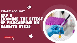 Study the Effect of Pilocarpine in Rabbits eye Exp 8 pharmacology practical pharmacy pharmacology [upl. by Niltac]