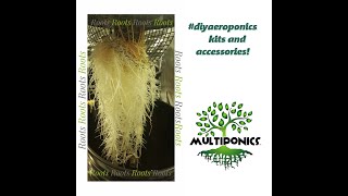 Aero Fog Mist DIY AEROPONICS kits by Multiponics Check out these roots [upl. by Anelah]