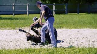 Chantilly France Galop [upl. by Shama198]