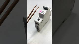 How to Safely Secure Two Wires in an Electrical Circuit Breaker – StepbyStep Guide [upl. by Halladba]