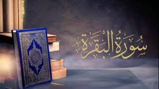 Surat AlBaqara  Saad AlGhamidi [upl. by Ajed999]