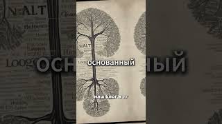 Уроки стойкости от Виктора Франкла Поиск смысла в тяжелых обстоятельствах [upl. by Enetsirk223]