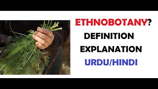 What is Ethnobotany Examples  Importance  Uses  UrduHindi [upl. by Yrelav149]