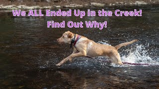 Evansburg State Park Hiking  Skippack Creek Loop Trail and Creek Retrieving [upl. by Rushing]