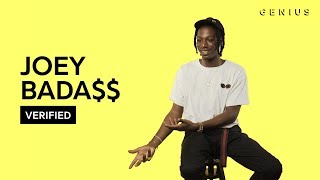 Joey Bada quotSurvival Tacticsquot Official Lyrics amp Meaning  Verified [upl. by Thanh325]