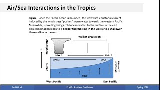 Climate Dynamics Lecture11b  El Niño Southern Oscillation [upl. by Binnings]